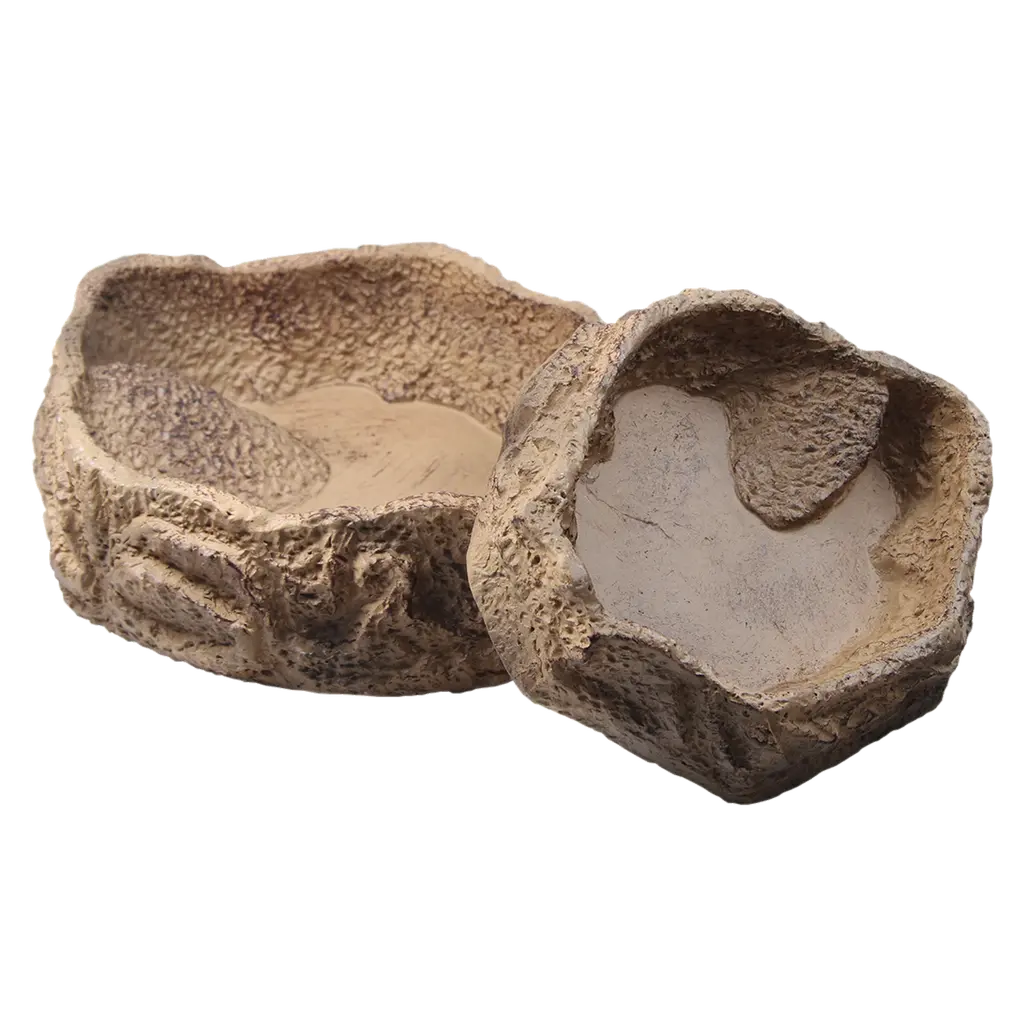 Customised design of the terrarium: beige sandstone-look bowl for food, water or bathing.