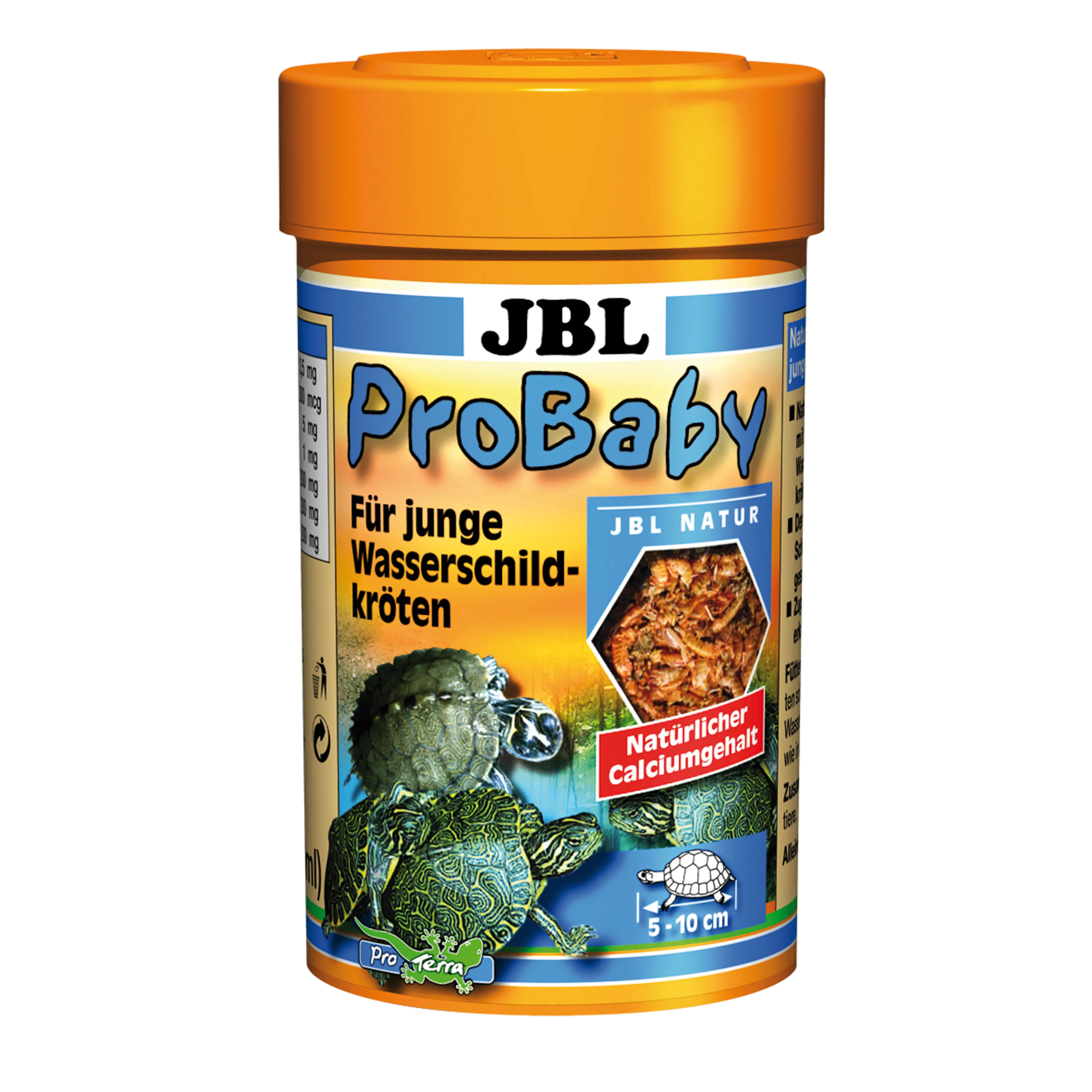 Main food for baby turtles: Sifted and cleaned small crustaceans and insects for young turtles measuring 5–10 cm in size.
