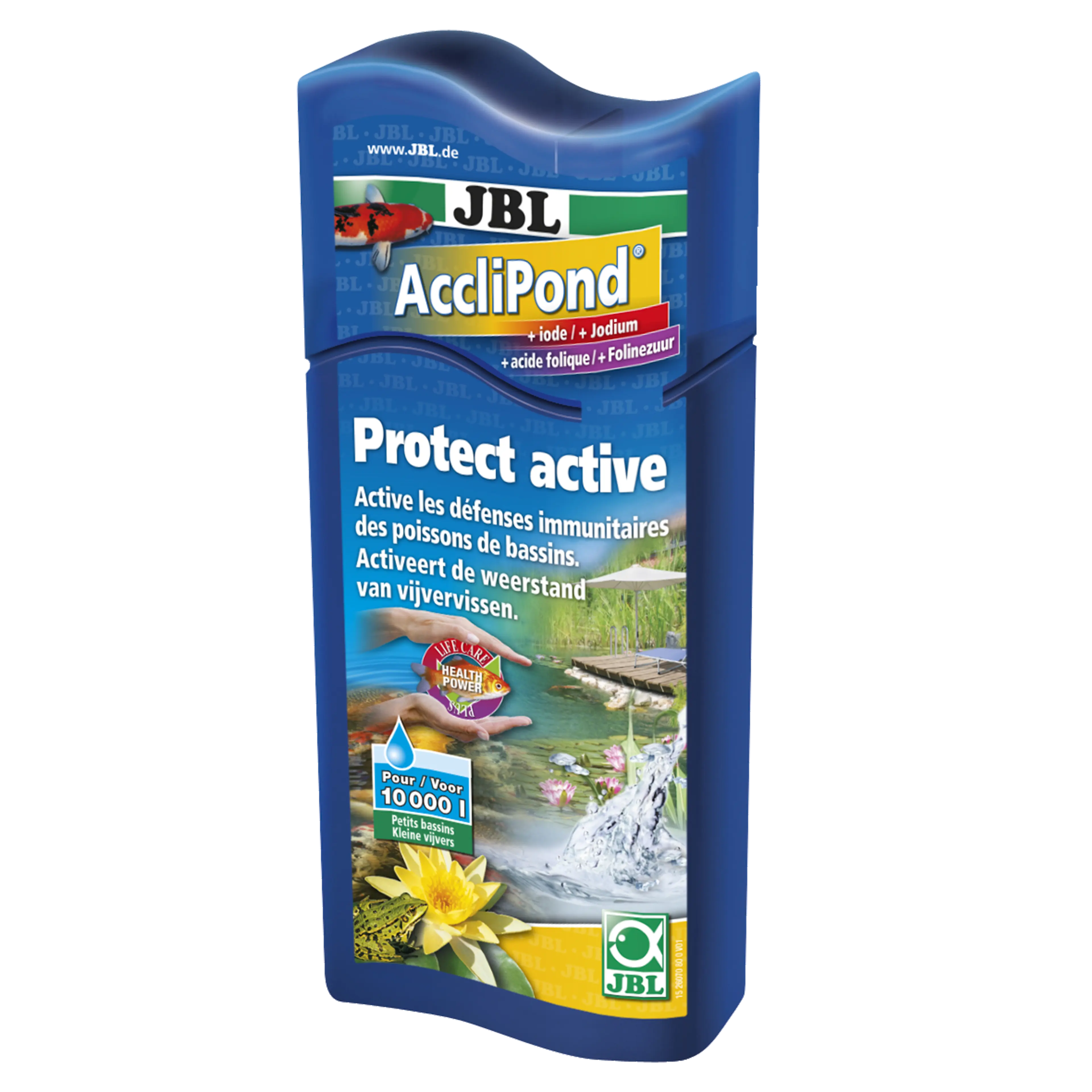 Environnement aquatique adapté aux poissons : purificateur d'eau pour activer les défenses immunitaires et favoriser la santé des poissons