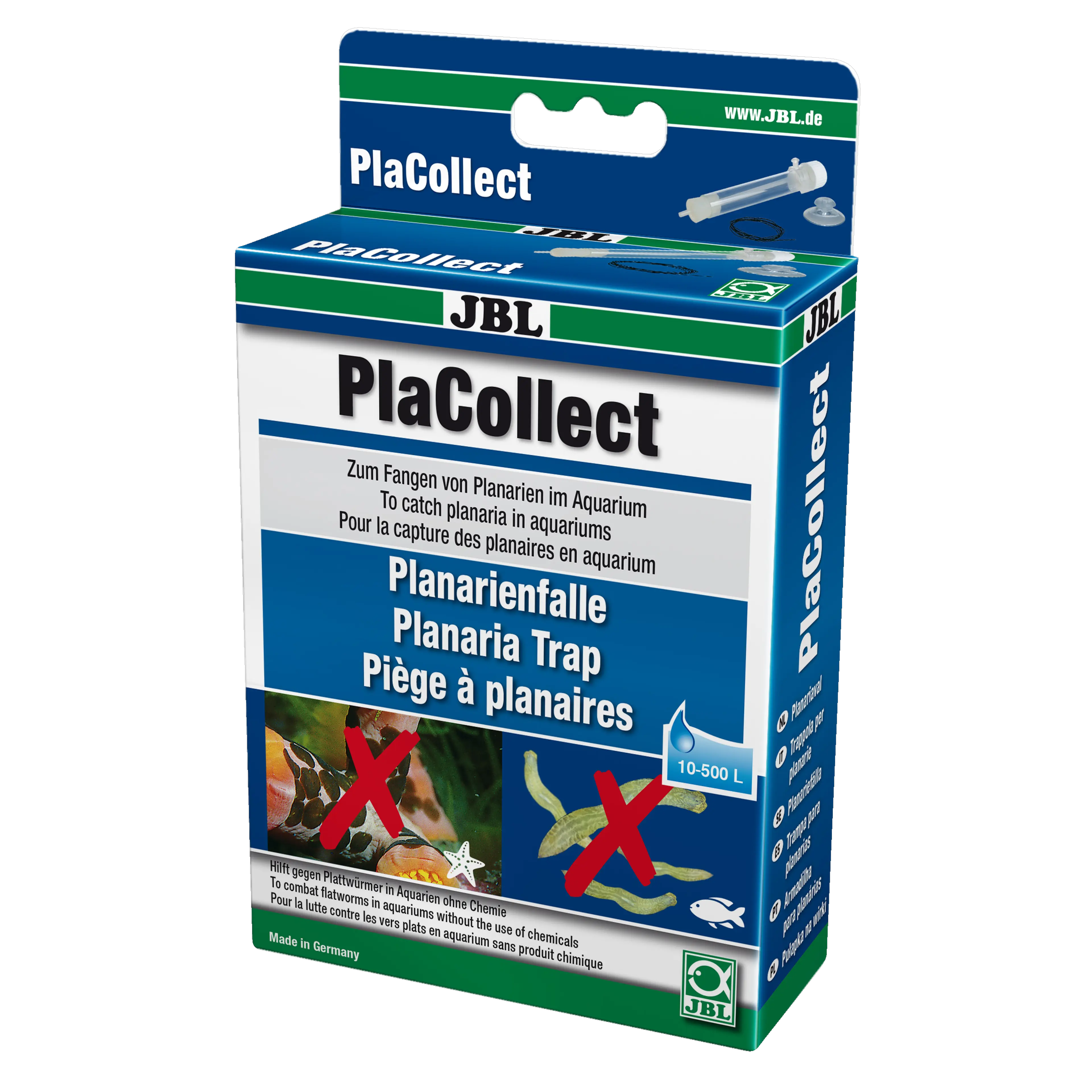 Convenient and effective way to catch flatworms (planarians) without chemicals