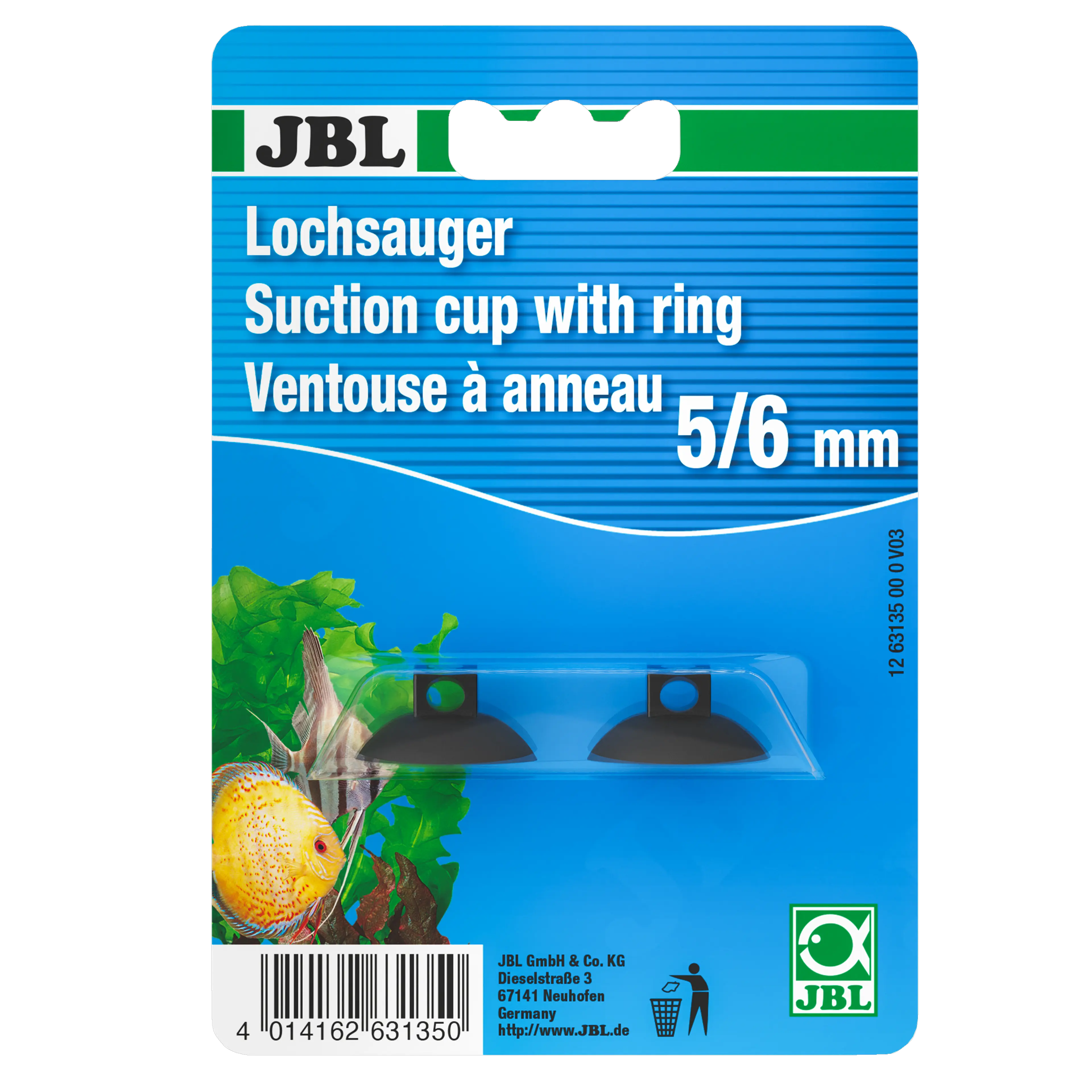 Suction cup holder for attaching thermometers in aquariums and terrariums