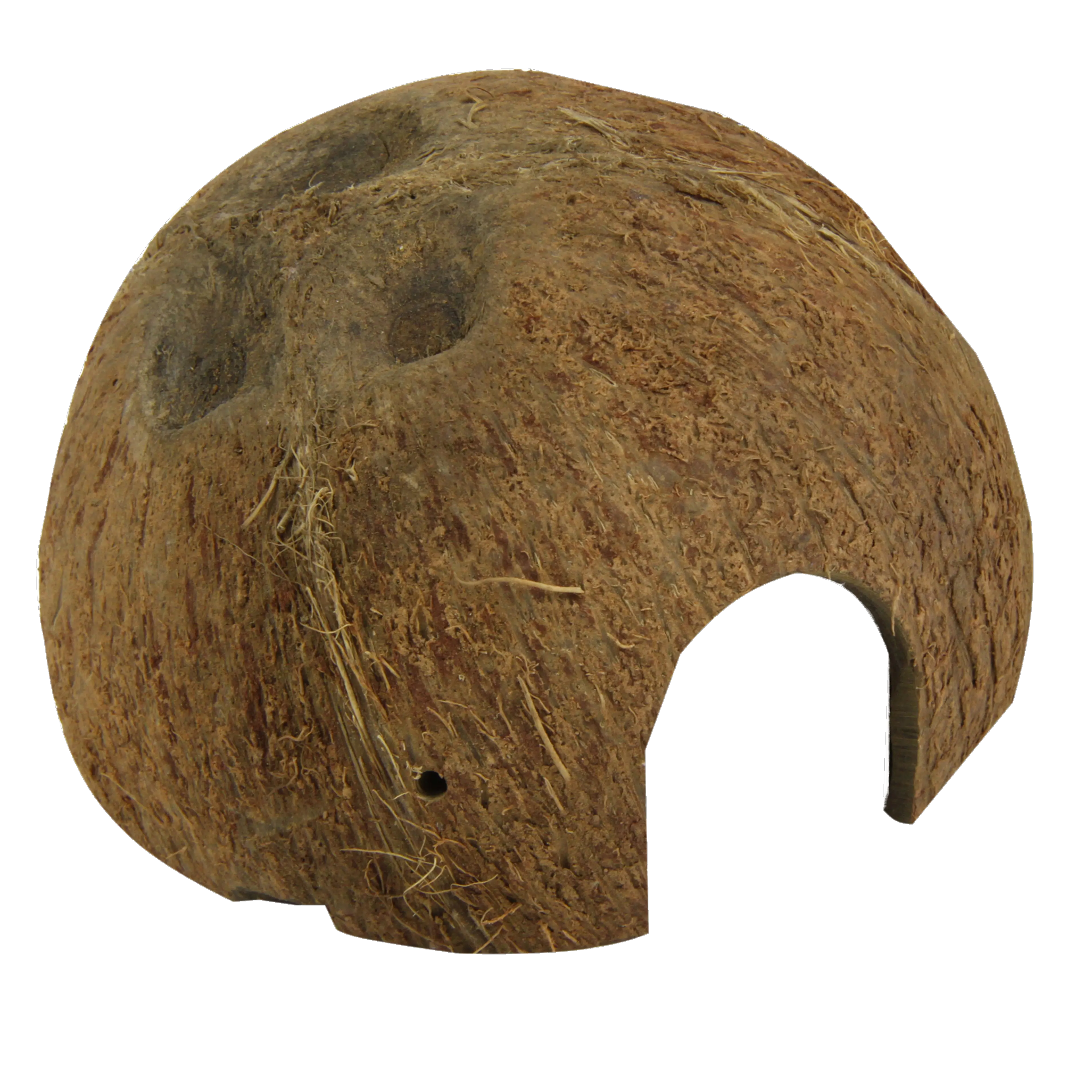 Hiding place and spawning ground for fish; sleeping and hiding place for terrarium animals: coconut shells for aquariums and terrariums