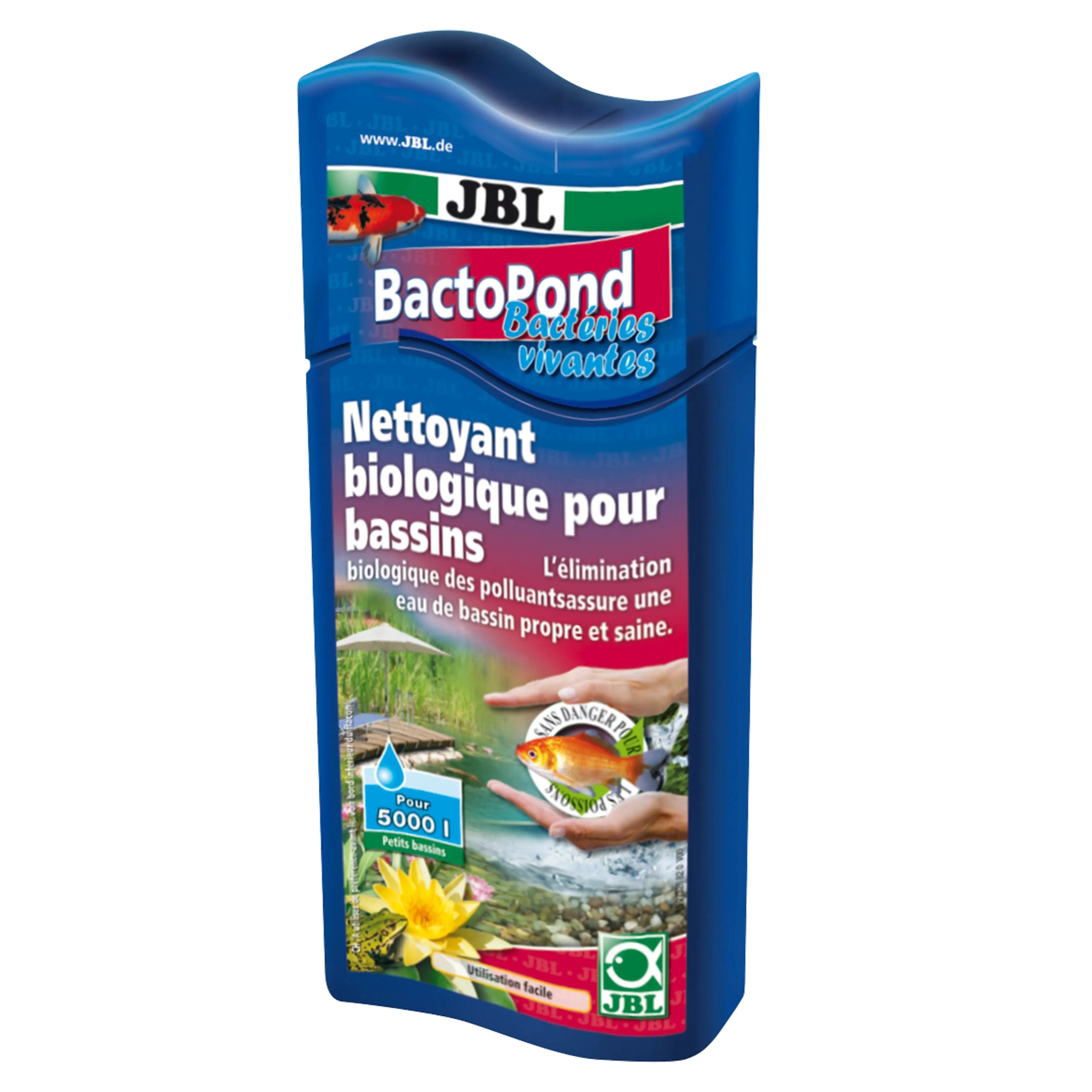 Pour une eau adaptée aux poissons et aux plantes : bactéries purificatrices pour dégrader les polluants biologiques dans le bassin (protéines, ammonium/ammoniac, nitrites)
